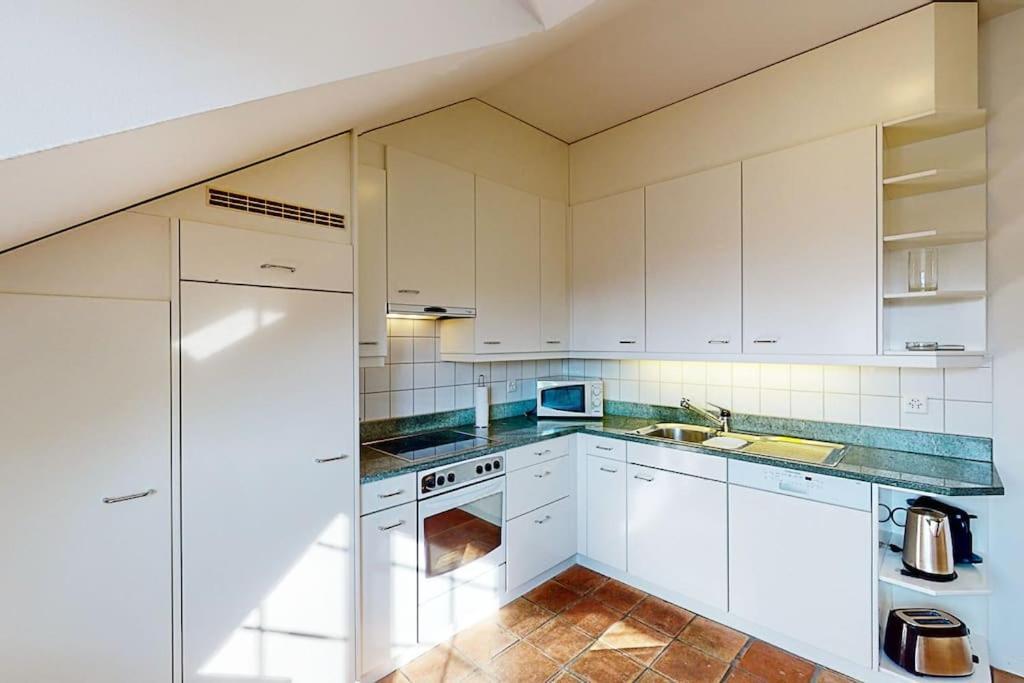 Maisonette Penthouse In Old Town - Uz10 Zurigo
