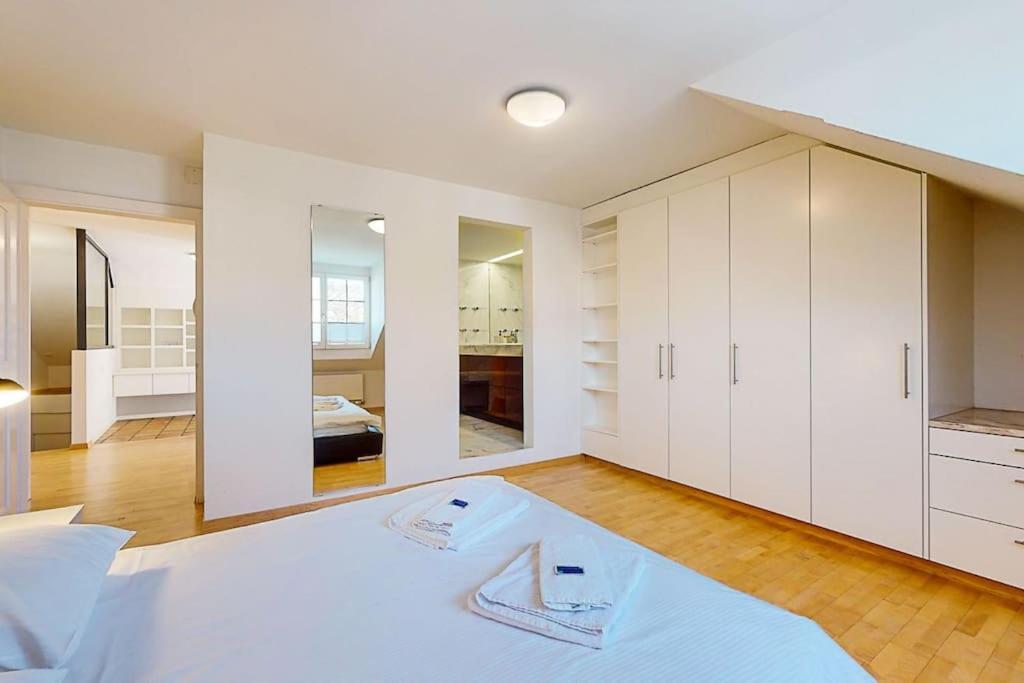 Maisonette Penthouse In Old Town - Uz10 अपार्टमेंट Zurich